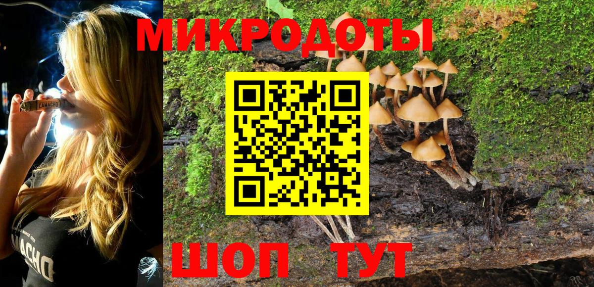 хочу   Вход с VPN  Сафоново  Галлюциногенные грибы мицелий 