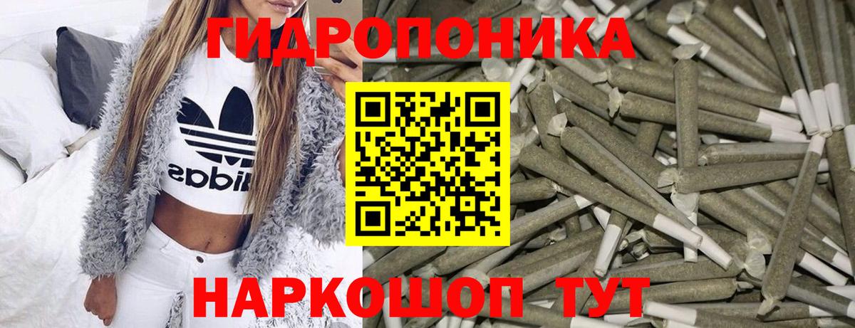 Конопля гибрид Сафоново